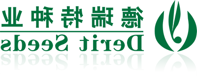 L国家.年代,公司